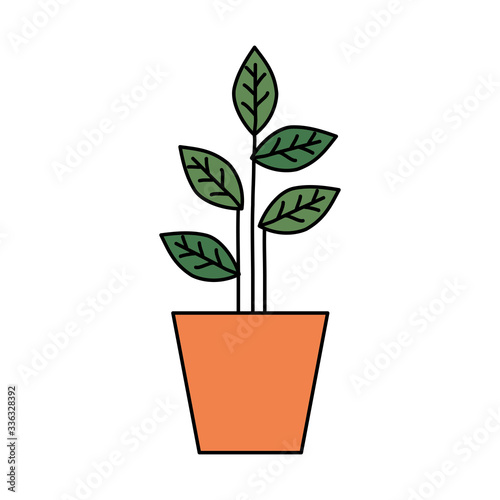 plant in house pot isolated icon vector illustration design