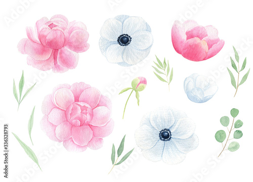 Set watercolor floral elements. Peony and anemone flowers  green leaves isolated on white background.  Wedding invitation  card  frames design. Spring  summer season. Flowers collection. 