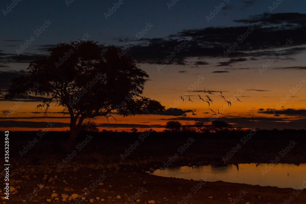 Waterhole night Namibia