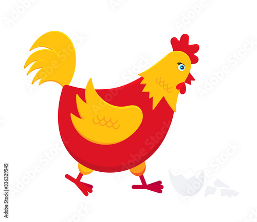 Yellow and red chicken with broken egg flat style design vector illustration. Chicken farming poultry symbol icon sign. Domestic bird isolated on white background.