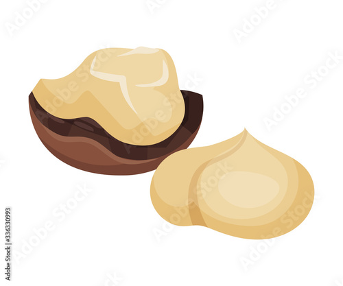 Cracked Macadamia Nut with Broken Shell Vector Illustration