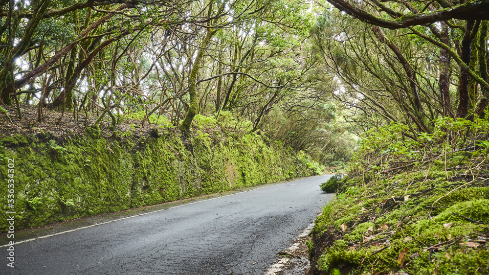 Road in Macizo de Anaga UNESCO biosphere reserve, Tenerife, Spain. Road in Macizo de Anaga UNESCO biosphere reserve, Tenerife, Spain.