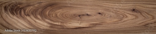 Elm long plank texture background. Old elm texture background.