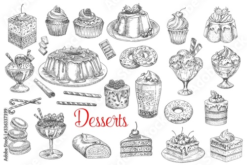 Cakes and pastry sweets, bakery desserts, vector sketch icons. Hand drawn patisserie sweet desserts, tiramisu cake, chocolate cupcake with berries and fruits, ice cream and waffle biscuit and donut