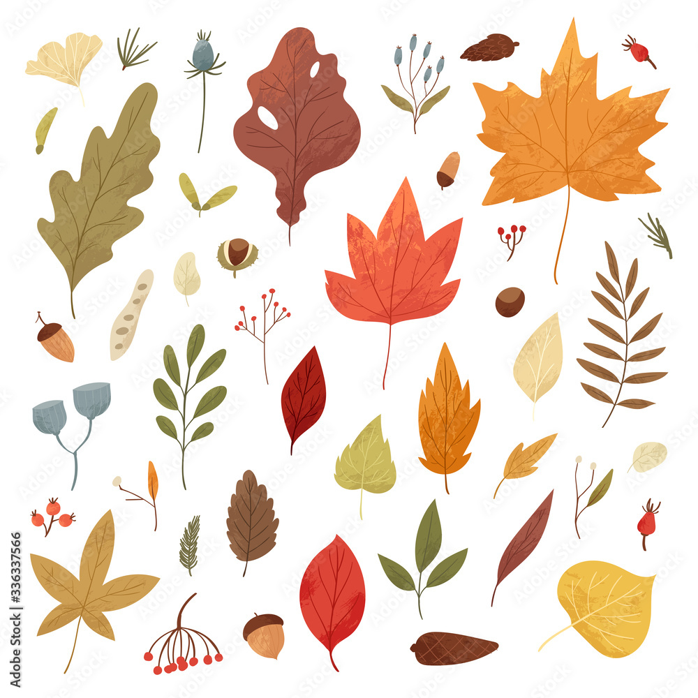 Botanical autumn collection. Seasonal set of hand drawn colorful fallen leaves, twigs, berries, acorns, forest mushrooms, tree branches. Cartoon textured vector illustration in realistic style Botanical autumn collection. Seasonal set of hand drawn colorful fallen leaves, twigs, berries, acorns, forest mushrooms, tree branches. Cartoon textured vector illustration in realistic style