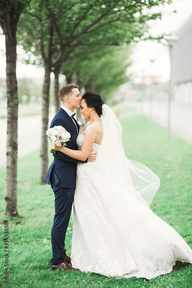 Beautiful bride and groom embracing and kissing on their wedding day outdoors Beautiful bride and groom embracing and kissing on their wedding day outdoors