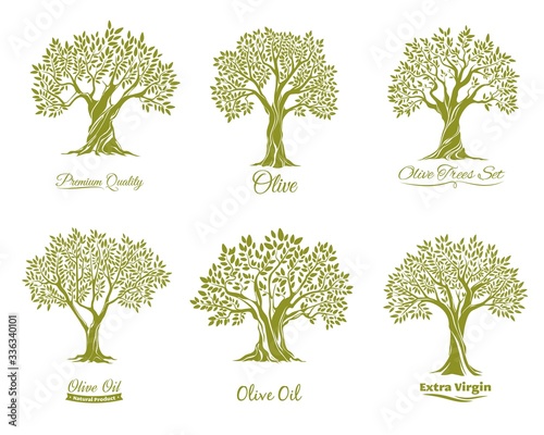 Olive oil and green olives, vector vintage retro posters or grunge metal plate signs. Natural organic extra virgin olive oil in pitcher jar and olive tree, agriculture vegetable food