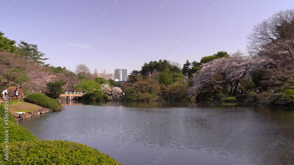 Beautiful Japanese Garden Landscape In A Park In Shinjuku Tokyo Japan - wide shot Beautiful Japanese Garden Landscape In A Park In Shinjuku Tokyo Japan - wide shot