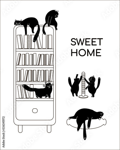 A House Is A Place Where A Cat Lives.Funny vector illustration and the phrase sweet home.The concept of a Postcard, banner,website,signage for a pet store, housewarming cards, poster for pet shelter.