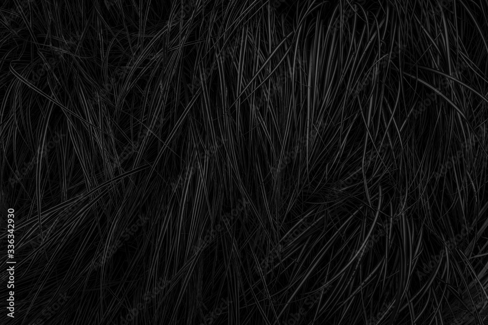 Fototapeta premium Vegetable black background - dark large and fine herbs texture - natural black and white background