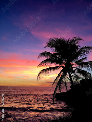 Sunset on the beach, silhouette of palm tree in ocean.