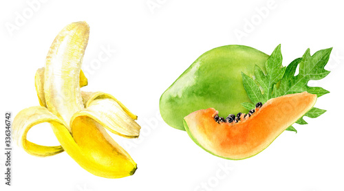 Papaya banana watercolor illustration isolated on white background