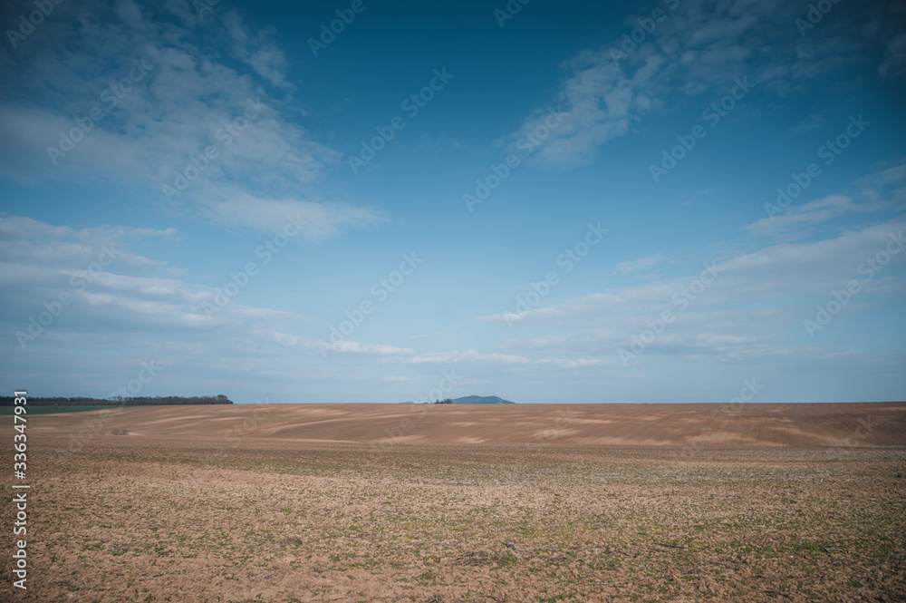 Spring field landscape. Blue sky with white clouds in background.