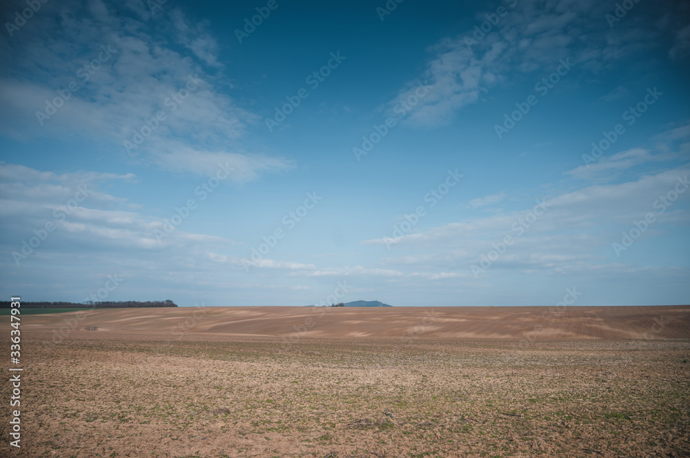 Spring field landscape. Blue sky with white clouds in background. Spring field landscape. Blue sky with white clouds in background.