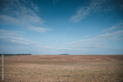 Spring field landscape. Blue sky with white clouds in background.