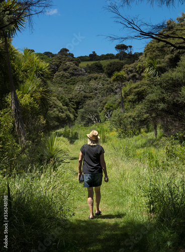 Walking a trail at Tāwharanui Regional Park New Zealand © A