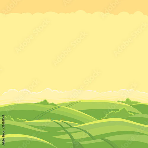 Green field landscape. Field track road. Copy space. Spring grass. Agricultural farming and hunting acreage. Vector background.