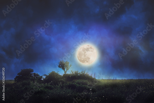 Night landscape with big moon in sky covered with clouds
