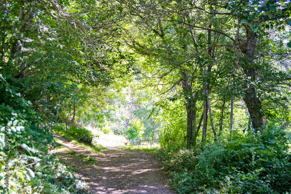 Fototapeta premium Igueña población de León
