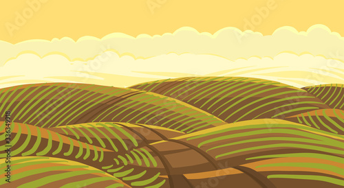 Field landscape. Agricultural growing young plant shoots. Plowed earth. Brown dirt. Field track road. Crops began to sprout in the spring soil. Vector colour hand-drawn.