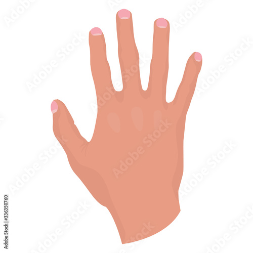 rechte Hand