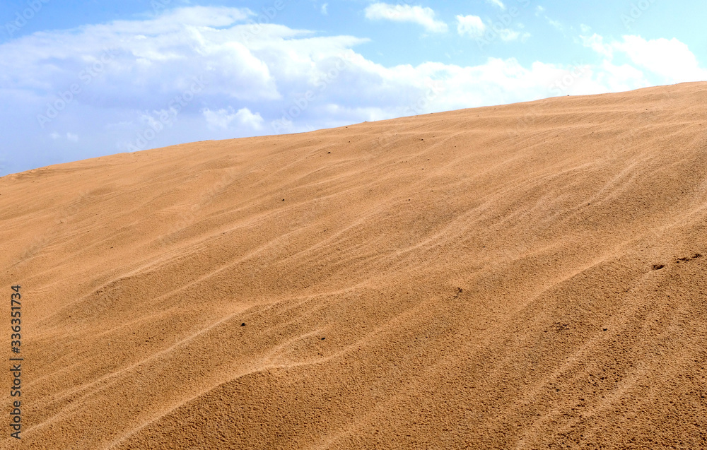 One of the last sand dunes in the neighborhood of the city of Holon in Israel One of the last sand dunes in the neighborhood of the city of Holon in Israel