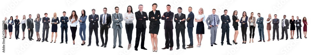 panoramic photo of a group of confident business people. panoramic photo of a group of confident business people.