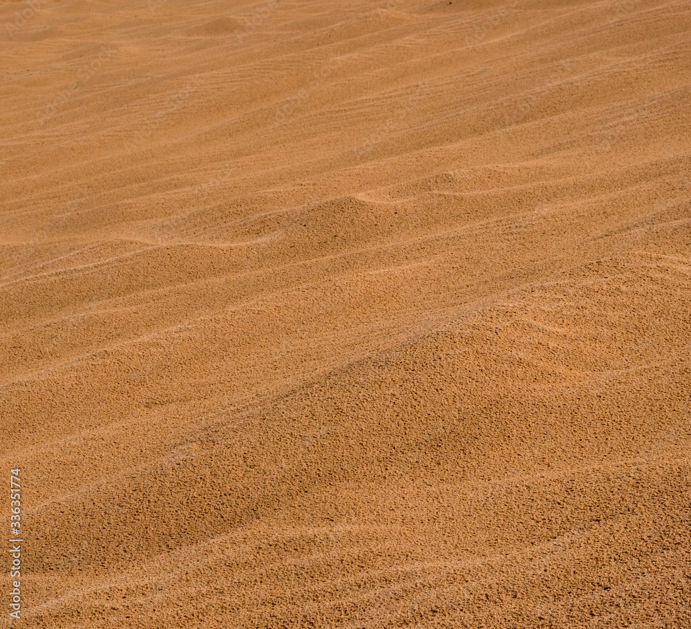 One of the last sand dunes in the neighborhood of the city of Holon in Israel One of the last sand dunes in the neighborhood of the city of Holon in Israel