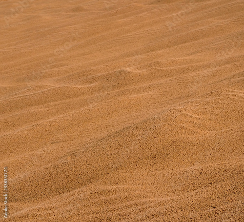 One of the last sand dunes in the neighborhood of the city of Holon in Israel