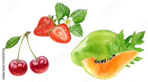 Fototapeta Naklejka Na Ścianę i Meble -  Papaya strawberry cherry watercolor illustration isolated on white background