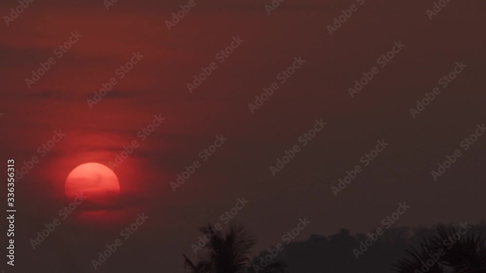 Steady Shot Of Red Sky With Sun Setting In the Background As Bat Colony Flies Through Frame, Battambang Cambodia Steady Shot Of Red Sky With Sun Setting In the Background As Bat Colony Flies Through Frame, Battambang Cambodia