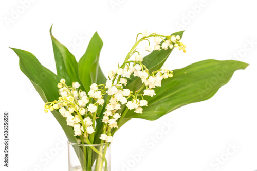 Bouquet of Lily of the valley flower blossoms, isolated on white background. May 1st, Labor Day symbol