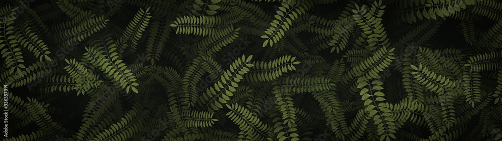Nature Leaves Wallpaper