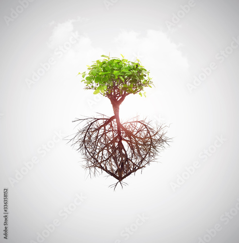 Fotobehang tree of love concept roots heart shape