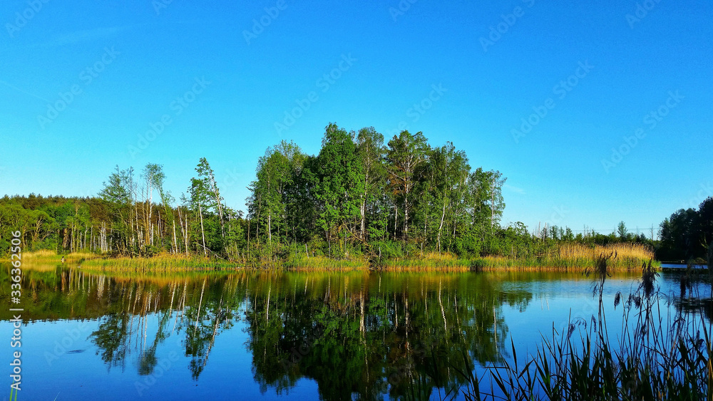 błękitne niebo nad jeziorem w lesie