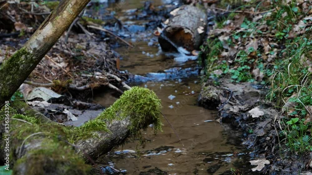 Calm and beautiful spring forest stream in Lithuania. Nature reborns at spring. Calm and beautiful spring forest stream in Lithuania. Nature reborns at spring.