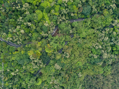 Aerial drone view of trail in spring tropical forest