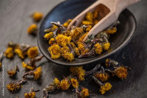 close up detail of dry dried coltsfoot yellow flower blossom bud heads for alterantive medicine tea remedy styled studio  photo