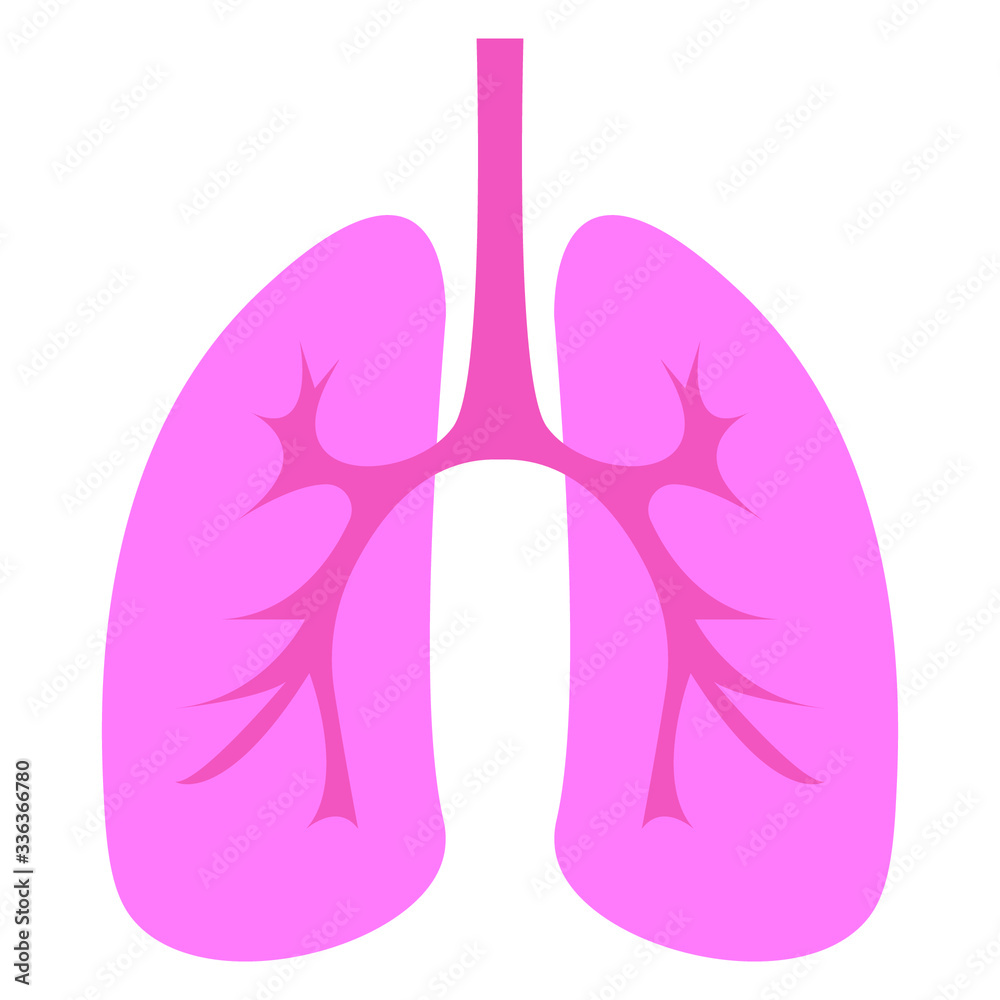 Lungs symbol vector isolated on white background. Anatomy of human lungs concept, illustration