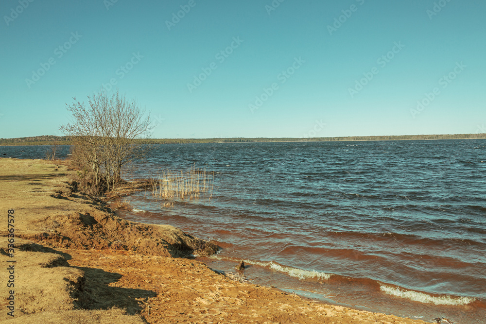 Shore of the lake under the evening sun Shore of the lake under the evening sun