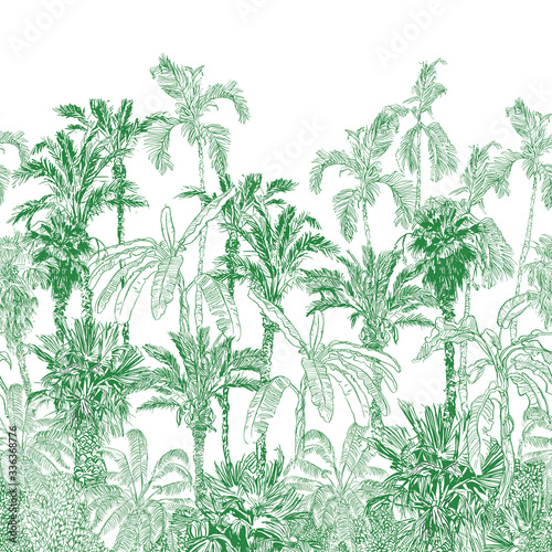 Double Level Seamless Border Vintage Etching Tropical Jungle Pattern Green  Panorama Tropics Palm Trees  Exotic Trees Wallpaper Mural  Tropical Back Drop