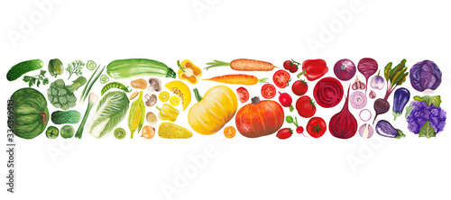 Fototapeta Naklejka Na Ścianę i Meble -  A rectangular frame of hand drawn vegetables arranged in a color gradient. Raster illustration of realistic vegetables isolated on white background.