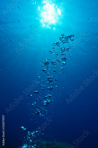 underwater scene with bubbles