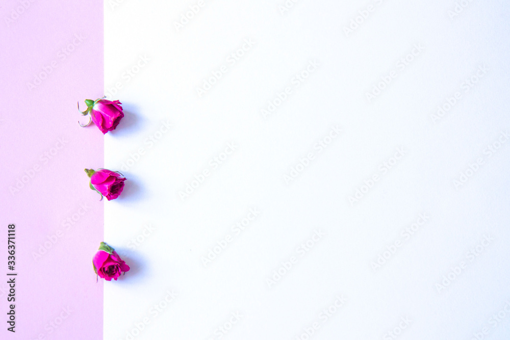 Obraz premium Flowers on a colored background