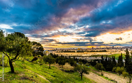 Olive trees on Mount of Olives and the view of Temple Mount and the Golden Gate  Old City Jerusalem