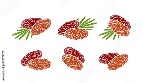 Date fruit logo. Isolated date fruit on white background
