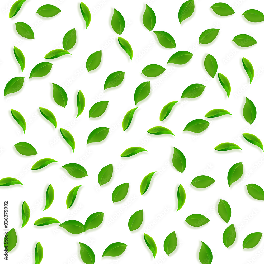 Falling green leaves. Fresh tea random leaves flyi Falling green leaves. Fresh tea random leaves flyi