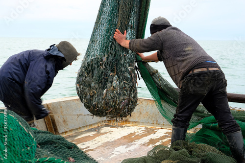 Fishermen at work. Sailors pull the trawl with the catch onto the deck of the seiner. Caught fish inside the net. Fishing tackle. Black Sea. Mainly cloudy.