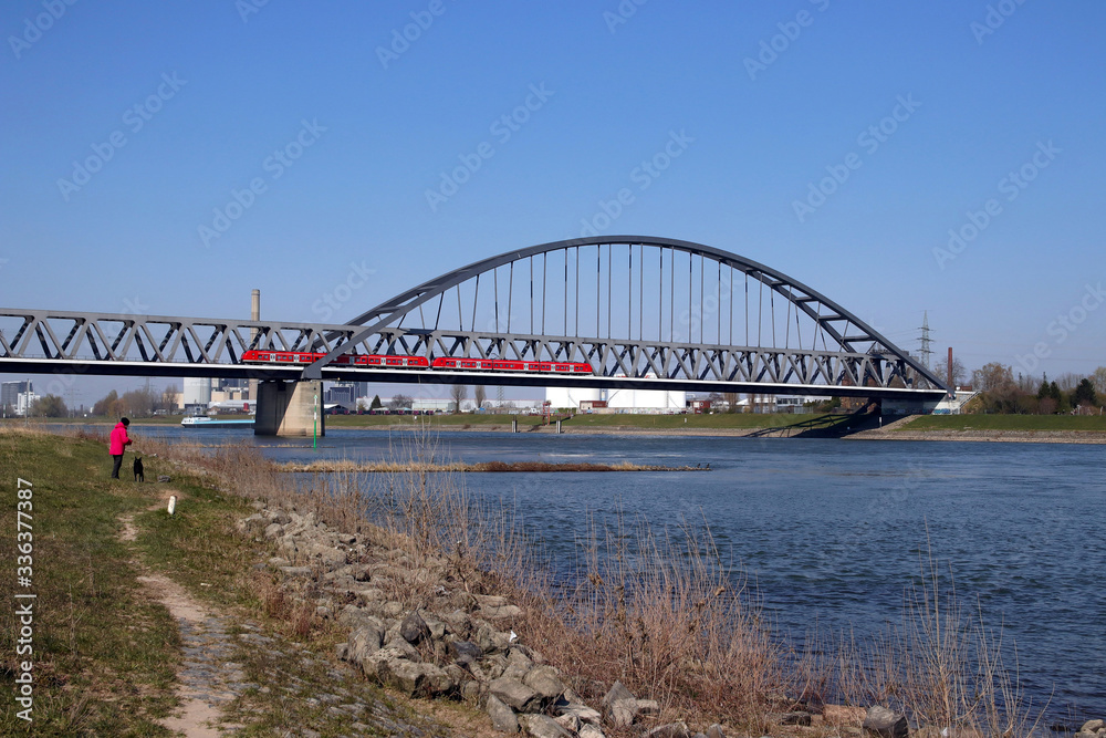 Naklejka premium eisenbahnbrücke über den rhein