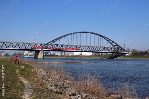 eisenbahnbrücke über den rhein